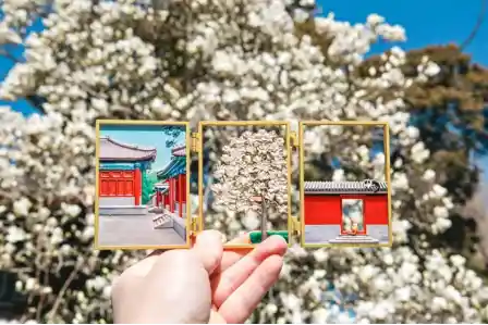 双节狂欢来袭!‘北京博物有‘吉’市’文创市集点亮国庆中秋夜