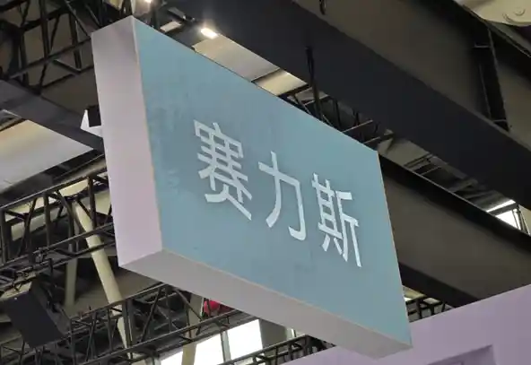 赛力斯联手字节跳动，进军具身智能新赛道