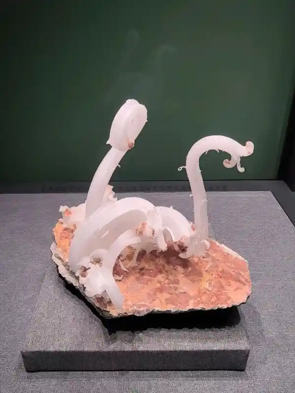 地心秘境现眼前：国家自然博物馆200余件稀世矿物岩石震撼亮相