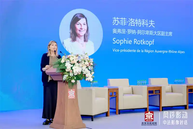 2025北京文化论坛|中法影像对话:光影之间共绘电影新未来