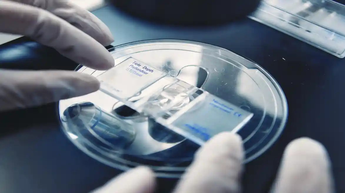 创新领航，守护生命：百时美施贵宝五年赋能中国肿瘤免疫治疗新篇章