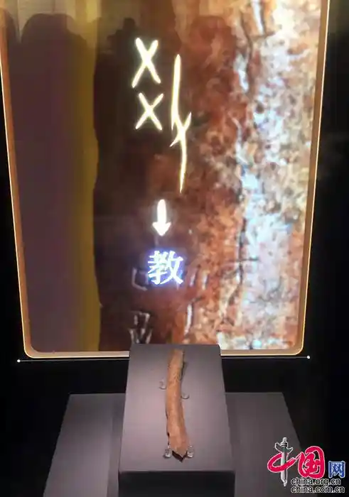 千年文脉跃然纸上：110余件珍品揭秘书院密码