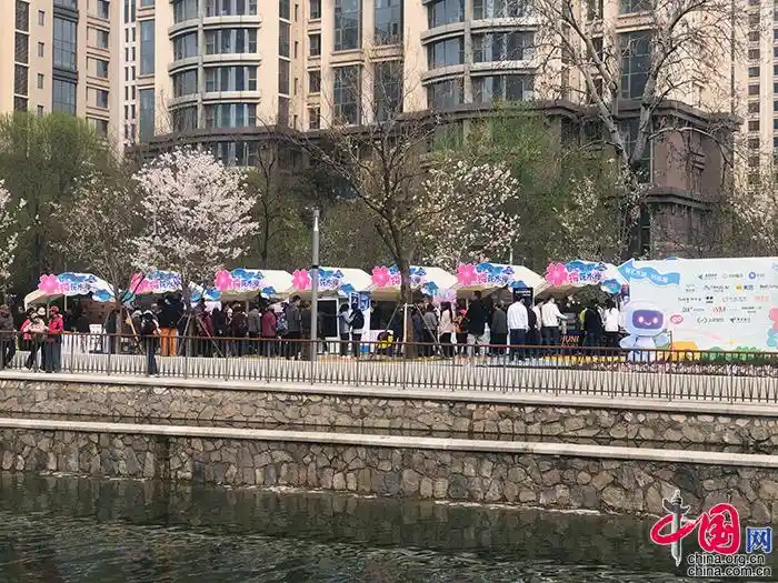 京津冀春日盛宴开启：朝阳花园节唤醒全城赏花热